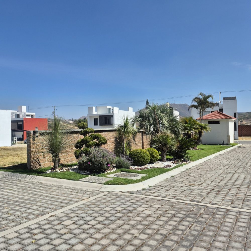 AREA VERDE