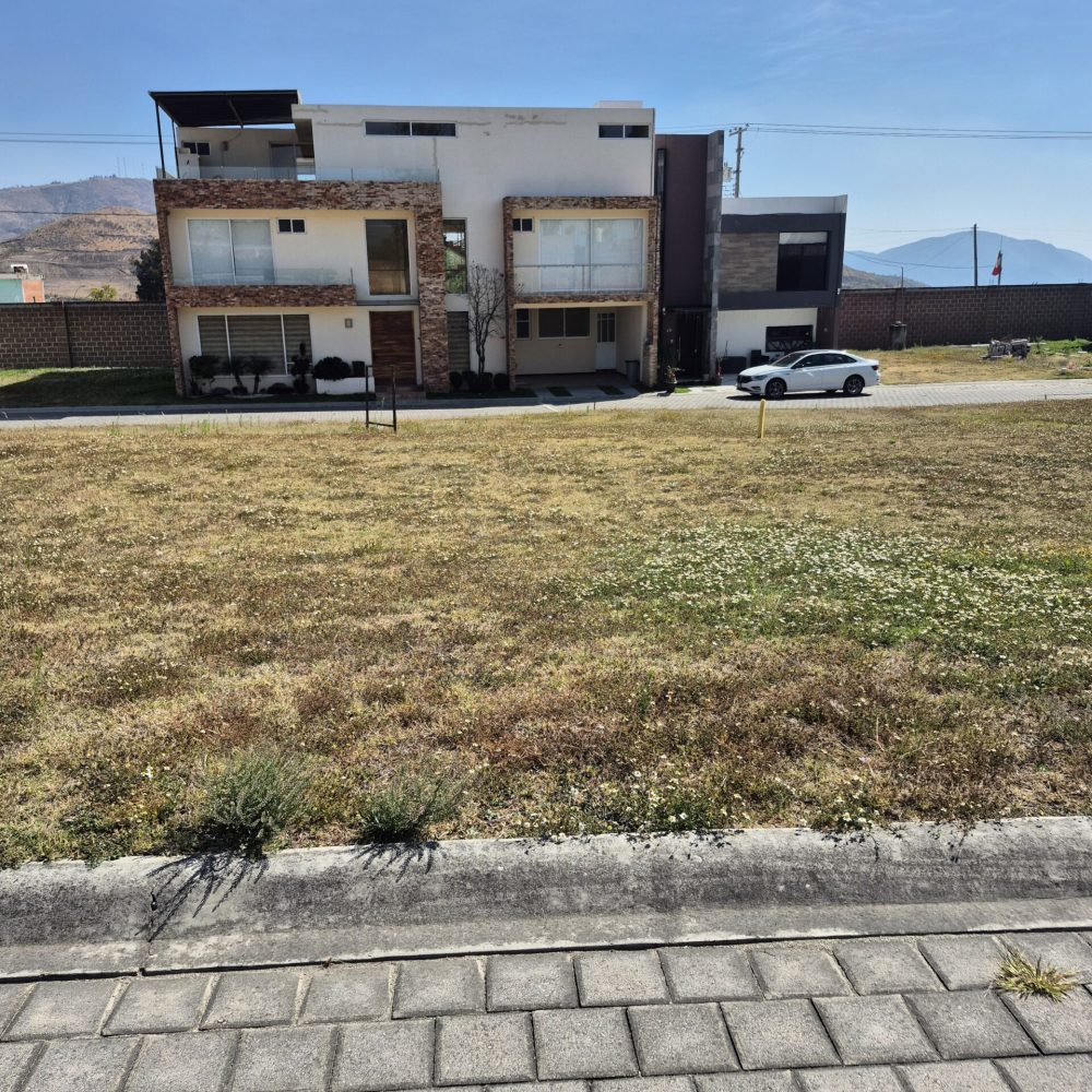 FRENTE A LA CASA